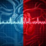 Article on Health 14th April 2022 ArdorComm Media Group According to the researchers, cell-derived therapy may aid in the repair of abnormal heart rhythms