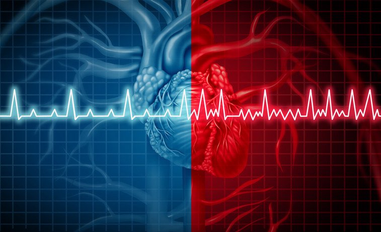 Article on Health 14th April 2022 ardorcomm According to the researchers, cell-derived therapy may aid in the repair of abnormal heart rhythms