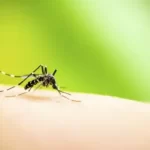 News on Health 18th Oct 2022 ArdorComm Media Group District administration of Jaipur is preparing to combat different vector-borne diseases
