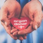 News on HR 1st July 2023 ArdorComm Media Group Government Employees Granted 42-Day Special Leave for Organ Donation