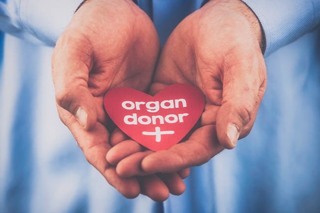 News on HR 1st July 2023 ArdorComm Media Group Government Employees Granted 42-Day Special Leave for Organ Donation