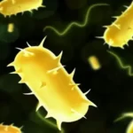 2c2f1d89 2456 4375 b606 89389c0b2721 ArdorComm Media Group AIIMS Delhi Identifies Cases of ‘Walking Pneumonia’-Causing Bacterium; Ministry Dismisses Link to China’s Recent Outbreak