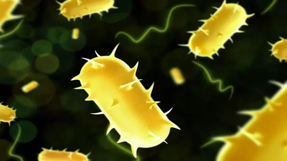 2c2f1d89 2456 4375 b606 89389c0b2721 ArdorComm Media Group AIIMS Delhi Identifies Cases of ‘Walking Pneumonia’-Causing Bacterium; Ministry Dismisses Link to China’s Recent Outbreak