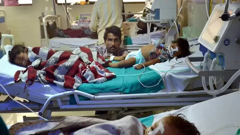News on Health 6 ArdorComm Media Group Six Children Die of Suspected Chandipura Virus in Gujarat Since July 10