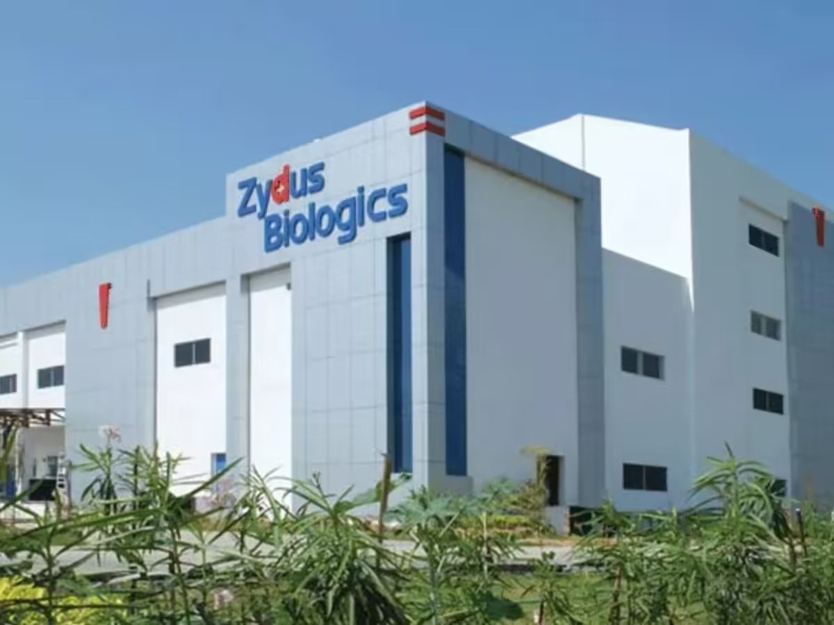 ​​Zydus secures USFDA orphan drug tag for sickle cell therapy Desidustat
