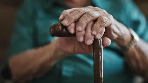 Tamil Nadu to Launch Health Insurance Scheme for Elderly, Announces Major Healthcare Reforms
